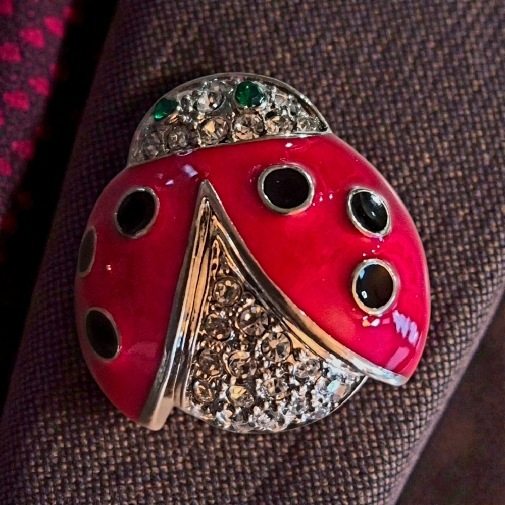 Source Unknown Vibrant Red and Silver Ladybug Brooch